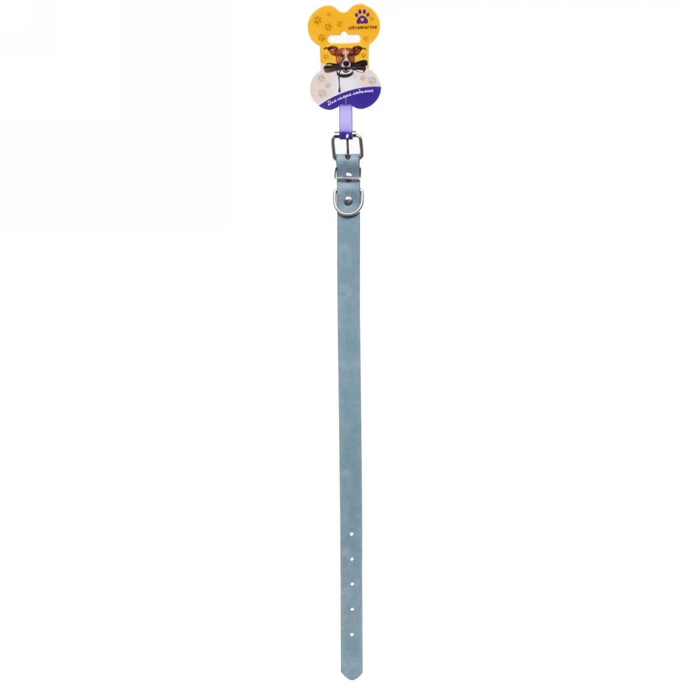 Ошейник искусственная кожа «Друг» 2*48см цвет голубой Ультрамарин