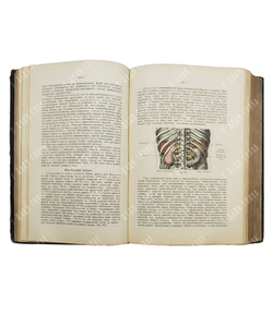 Руководство клинической диагностики внутренних болезней и в особенности способов исследования. 1912