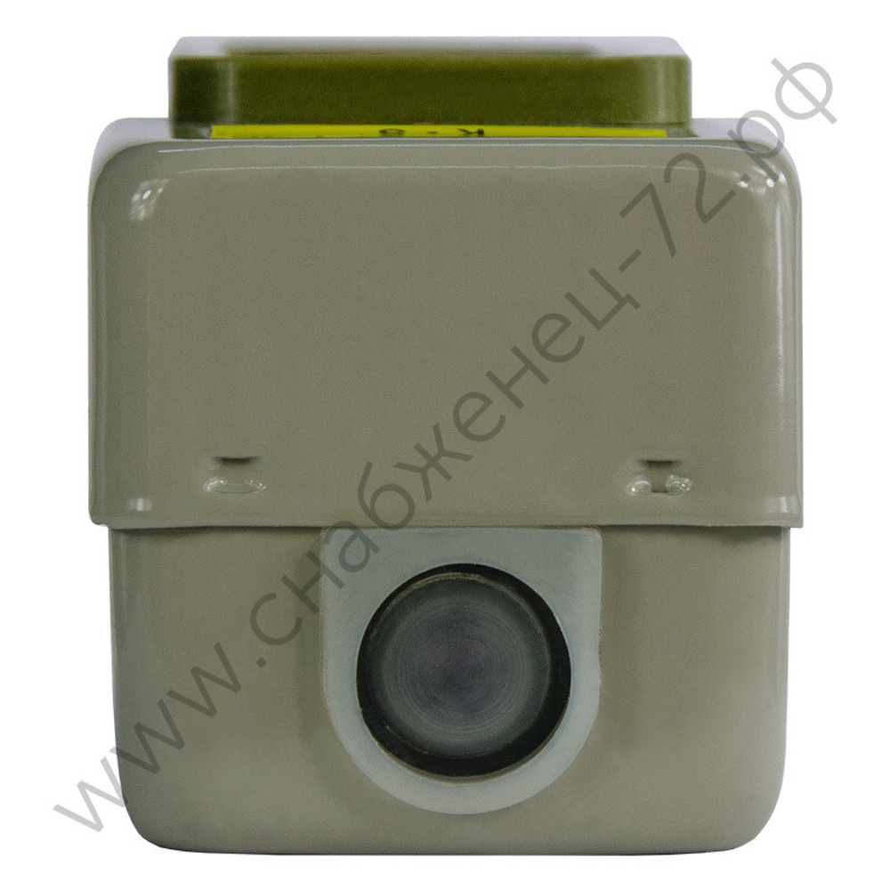 Посты кнопочные Энергия BS