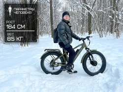 Электрофэтбайк VOLTECO BigCat Dual Next (черный)