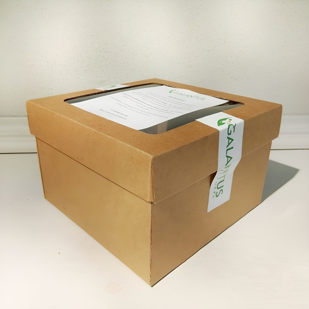 Лепестки живых роз