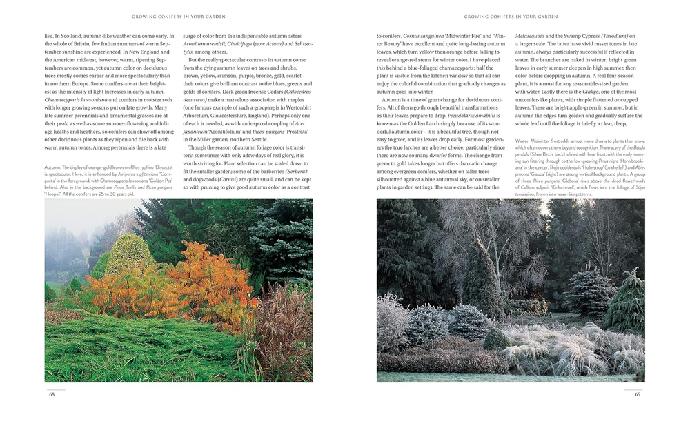 Gardening with conifers