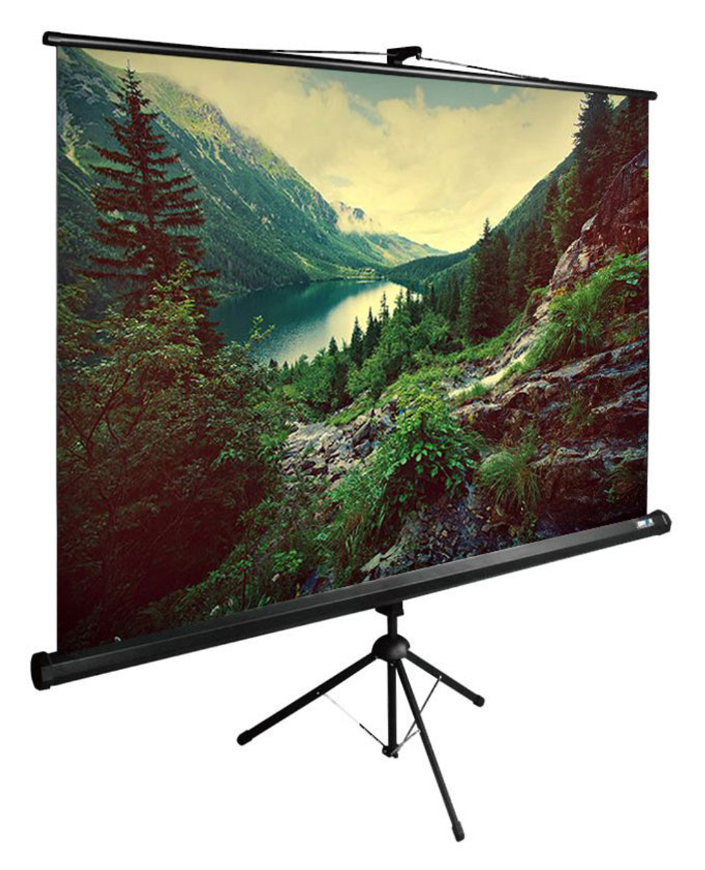 Экран  Cactus CS-PSTE-220X220-BK