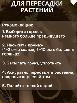 Грунт для рассады универсальный, 25 л Азбука Роста