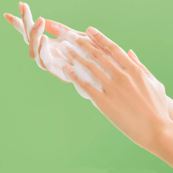 Fraijour Слабокислотная очищающая пенка для кожи с акне Fraijour Heartleaf Blemish pH Balanced Cleansing Foam, 250 мл