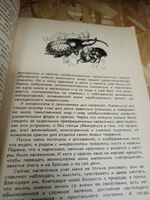 Миллион загадок