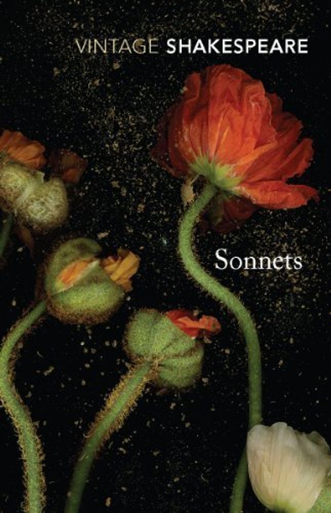 Sonnets  (Vintage Classics)