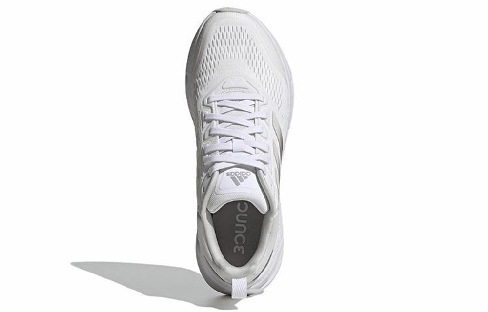 Кроссовки Adidas Questar