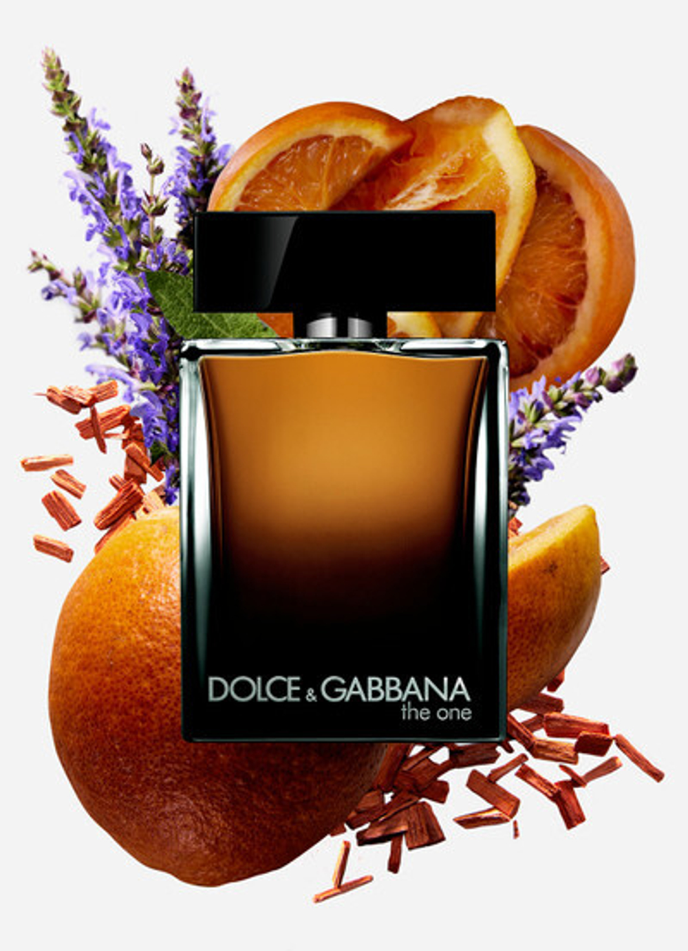 D&g the one for men edp top