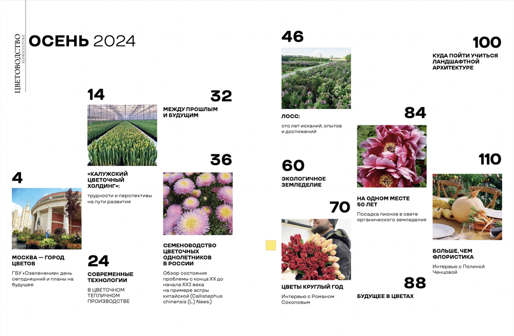Цветоводство ОСЕНЬ 2024