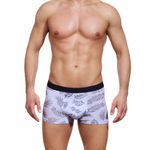 Мужские трусы боксеры серые  с принтом Sergio Dallini SG2310-1