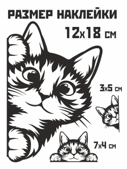 Наклейка на авто выглядывающий котик
