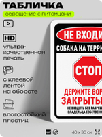 Табличка "Не входить, собака на территории" на дверь и забор, для двора, дома, подъезда, 40х30 см, Silver Plane x Айдентика Технолоджи