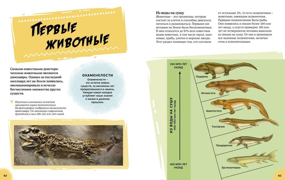 Эра динозавров. Жизнь в доисторические времена