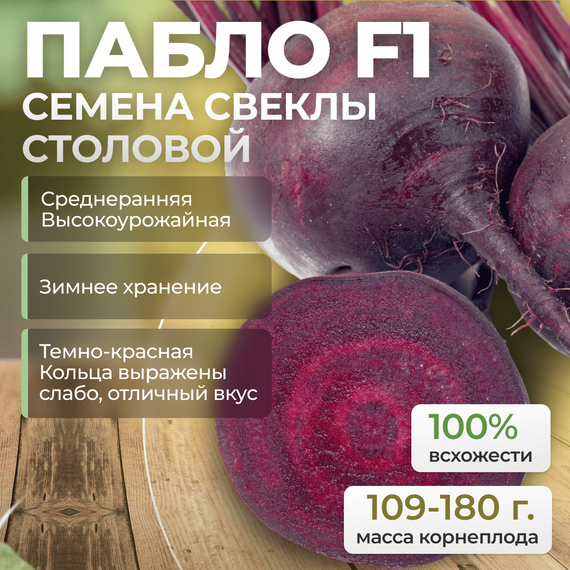 ПАБЛО F1 семена свеклы (Bejo | Alexagro) – фото 1