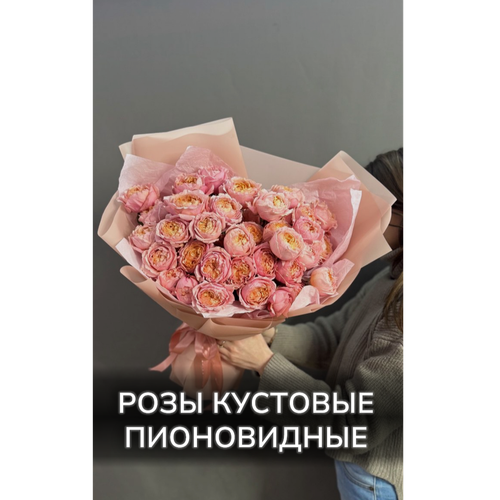 Розы кустовые пионовидные