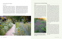 New Naturalism: Designing and Planting a Resilient, Ecologically Vibrant Home Garden