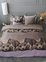 Постельное белье 2,0 полисатин Павлайн рис. Серый котик