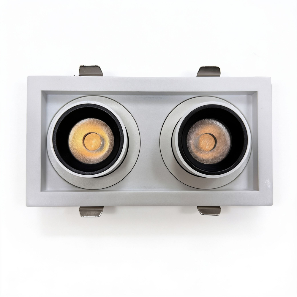 Светильник точечный встраиваемый Wertmark Technical Dorsum WTD.O31.067.30.20