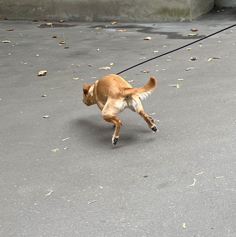 Купить Рубашка Смерч на молнии #5 изумрудная Рубашка Смерч на молнии #5 изумрудная