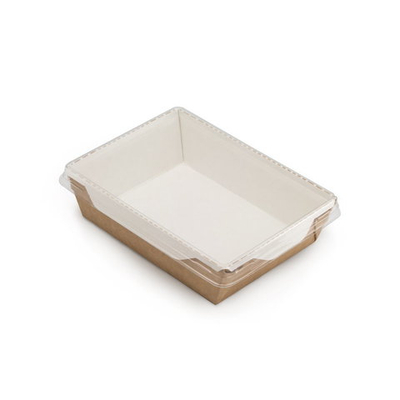 Упаковка ECO OpSalad 500мл 50шт/300шт в кор