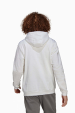 Кофта adidas Entrada 22 Sweat