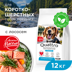 Корм сухой для взрослых собак средних пород, премиум полнорационный комплекс, для короткошерстных собак, с лососем, 12 кг, QUATTRO
