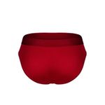 Мужские трусы брифы бордовые DARKZONE DZNBM6307