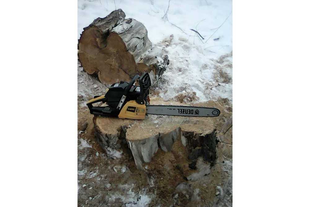 Бензиновая цепная пила Denzel DGS-5218 95233