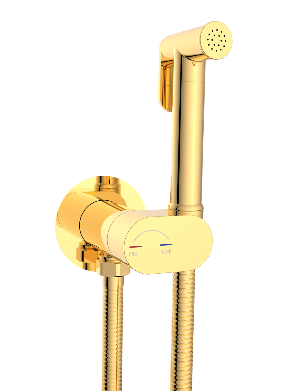 Гигиенический душ WeltWasser  HIGI R01 GL 10000013657 латунь  Золото