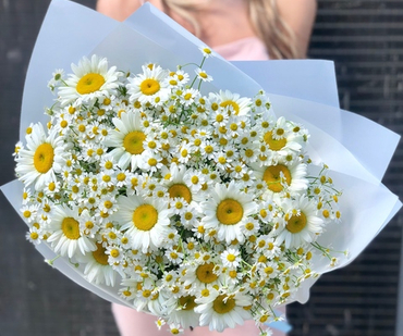 Букеты из ромашек