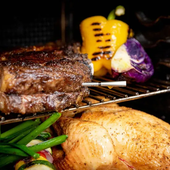 Умный щуп термометр Muurikka MEATER Pro для мяса (OSC-MT-MP201)