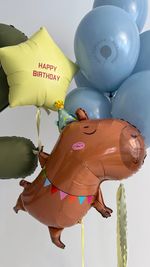 Воздушные шары Капибара для мальчика №9042