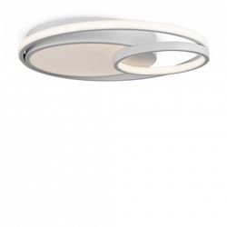 Накладной светильник Freya  FR10028CL-L80W