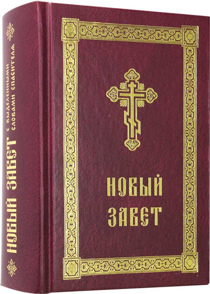 novyj-zavet-s-vydelennymi-slovami-spasitelya-118608-554142