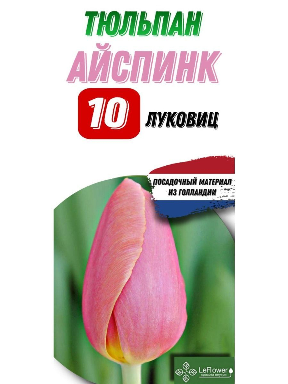 Тюльпан Луковица, Айспинк, 10шт