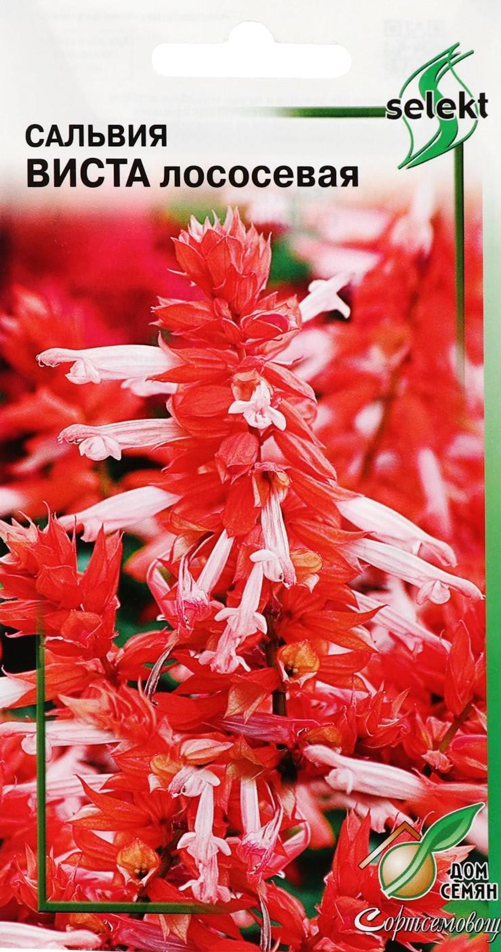 Сальвия Виста лососевая 10шт ССов