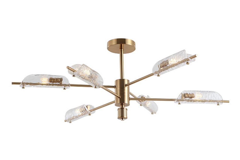 Потолочный светильник Freya FR5420CL-06BS