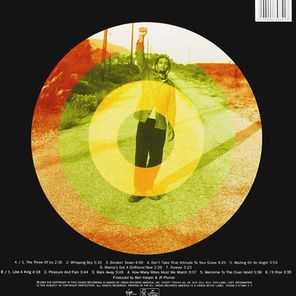 Ben Harper / Welcome To The Cruel World (LP)