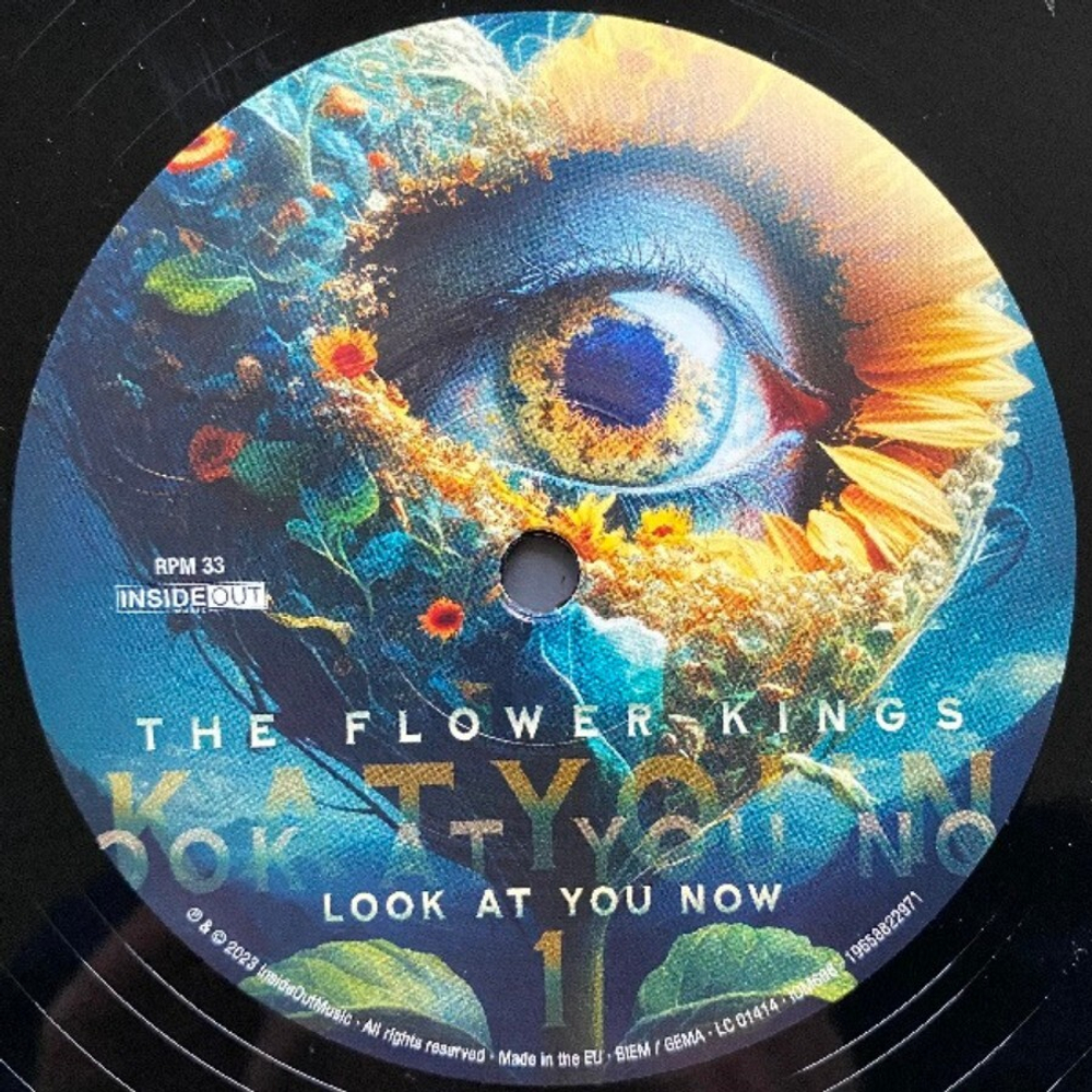 The Flower Kings / Look At You Now (2LP)