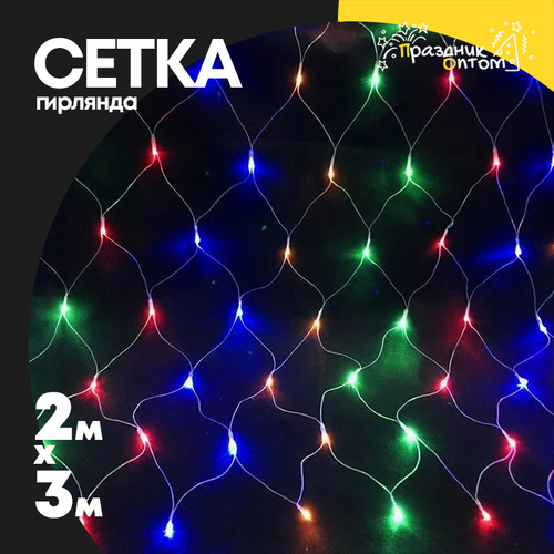гирлянда 2 х 3 сетка (цветной)