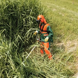 Oleo-Mac BC 430 T бензокоса 6135-9005E2