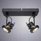 Спот Arte Lamp Costruttore A4300AP-2BK
