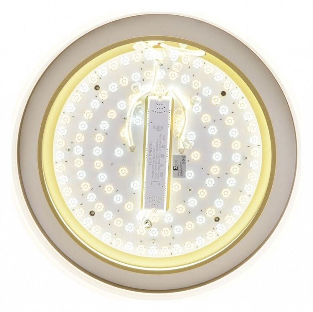 Накладной светильник Zortes Adel ZRS.1200.01