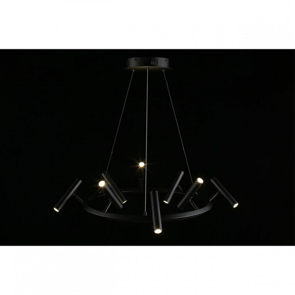 Подвесная люстра Aployt Honor APL.067.03.40