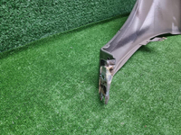 Крыло переднее правое Lada Largus (2021-н.в.)