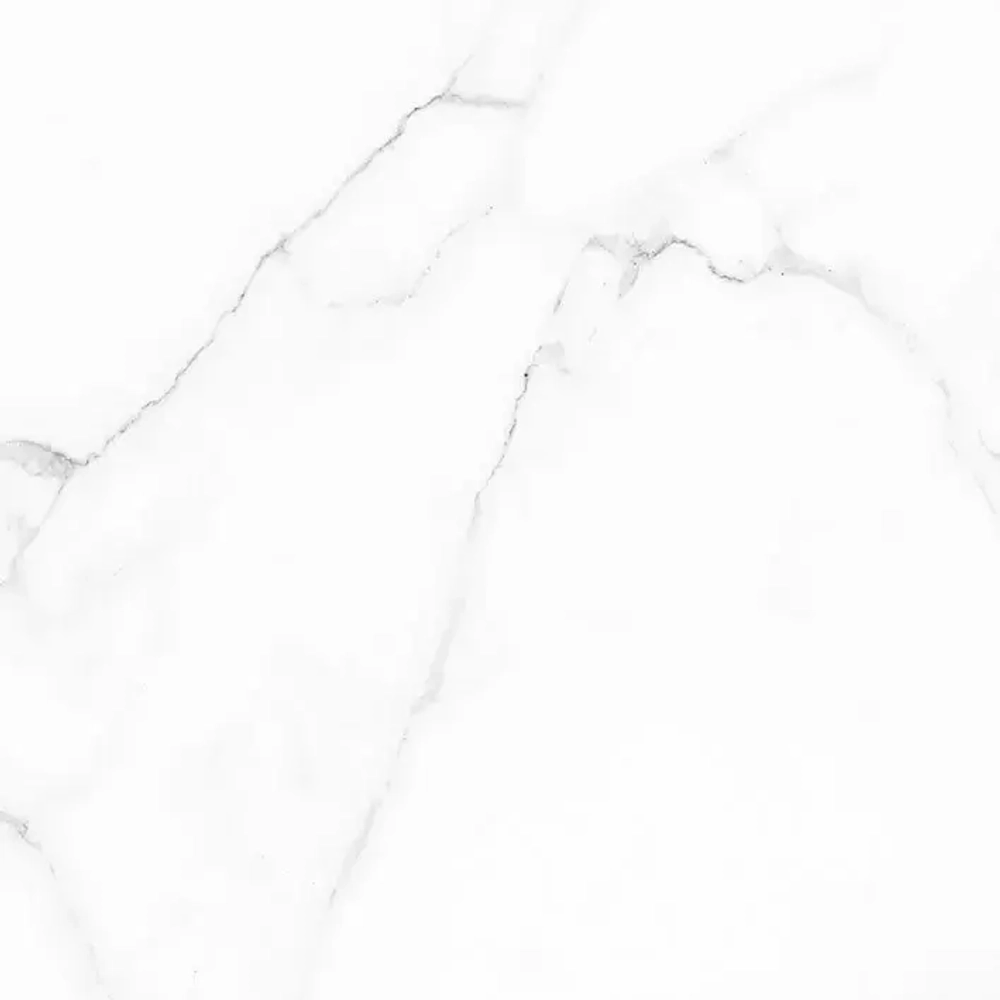 Alma Ceramica Carrara GFU04CRR00R 60x60