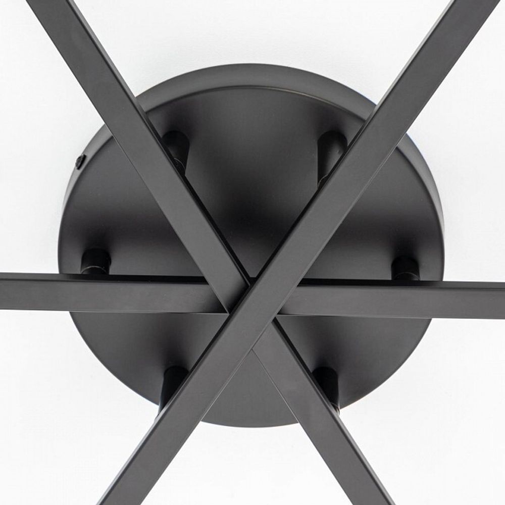 Потолочная люстра Citilux Glob CL209291