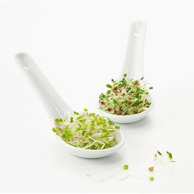 Ложка для мисосупа;фарфор;,H=55,L=155,B=135мм;белый (Цвет: белый)