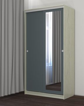 Шкаф-купе  СЕНТ-2 с зеркалом правый